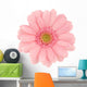 Pink Gerbera Wall Decal