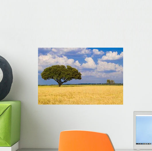 Blue Sky with Yellow Wall Decal