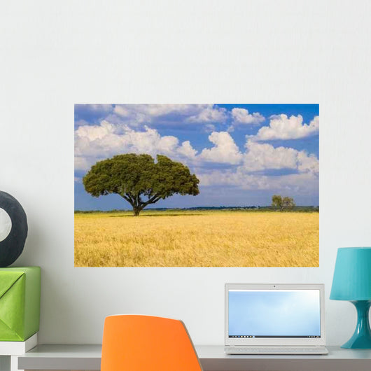 Blue Sky with Yellow Wall Decal