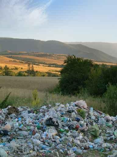 Bunch Trash within Nature Wall Decal