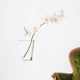 White Orchids Vase White Wall Decal