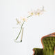 White Orchids Vase White Wall Decal