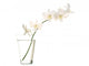 White Orchids Vase White Wall Decal