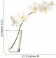 White Orchids Vase White Wall Decal