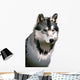 Wolf Wall Decal