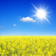 Summer Landscape Wall Decal