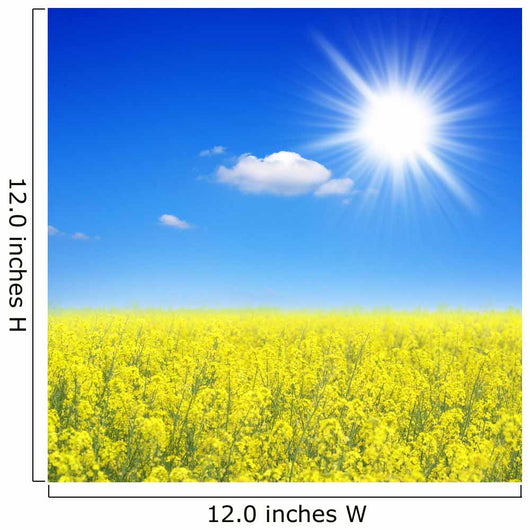 Summer Landscape Wall Decal