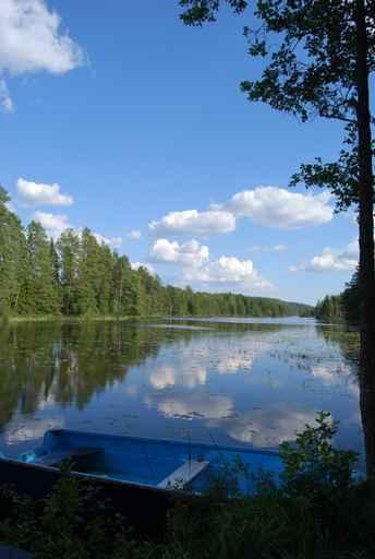 Lake Wall Decal