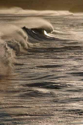 Breaking Surf Wall Decal