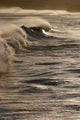 Breaking Surf Wall Decal