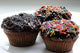 Sweet Chocolate Cupcakes Wall Decal