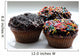Sweet Chocolate Cupcakes Wall Decal