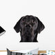 Black Labrador Wall Decal