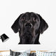 Black Labrador Wall Decal