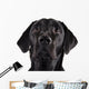 Black Labrador Wall Decal