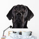 Black Labrador Wall Decal