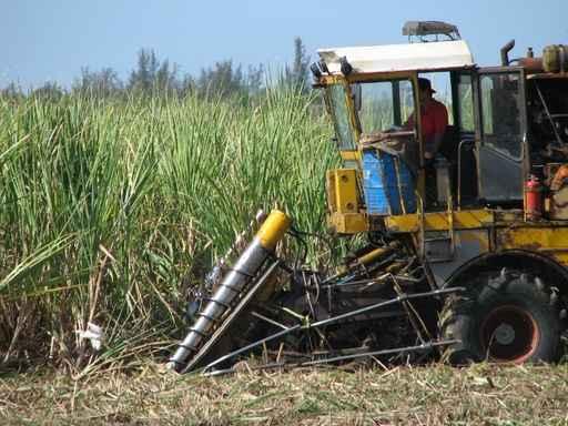 Combine Harvester Cuba Wall Decal