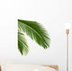 Leaves Palm Tree Wall Decal