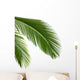 Leaves Palm Tree Wall Decal