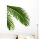 Leaves Palm Tree Wall Decal