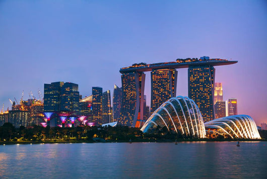 Singapore Financial District Wall Decal