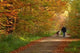 Walk Wall Decal