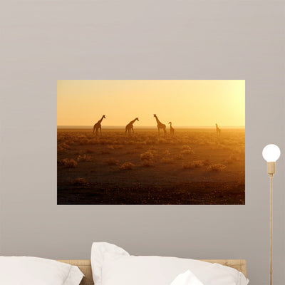Herd Giraffes Sunrise Wall Mural shown on a wall
