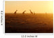 Herd Giraffes Sunrise Wall Mural