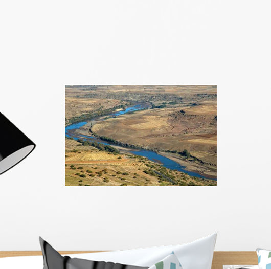 Orange River Wall Decal