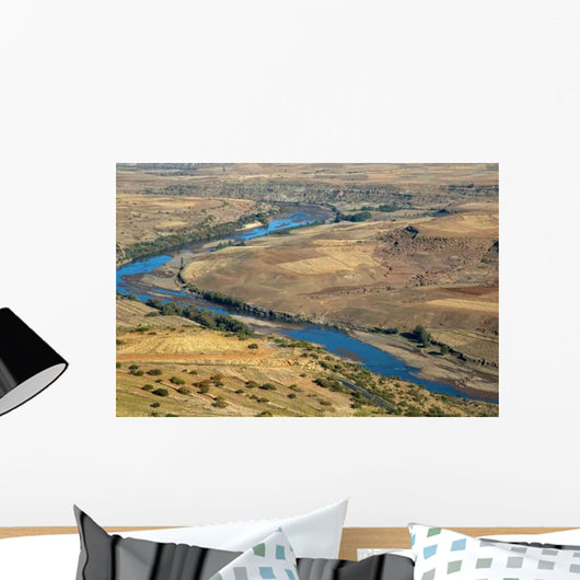 Orange River Wall Decal