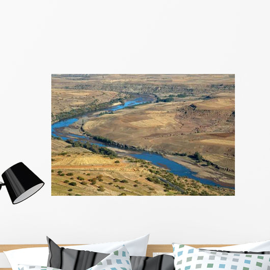 Orange River Wall Decal
