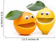 Laughing Orange and Lemon Wall Decal