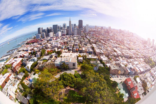 Fisheye San Francisco Panorama Wall Decal