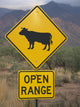 Open Range Wall Decal