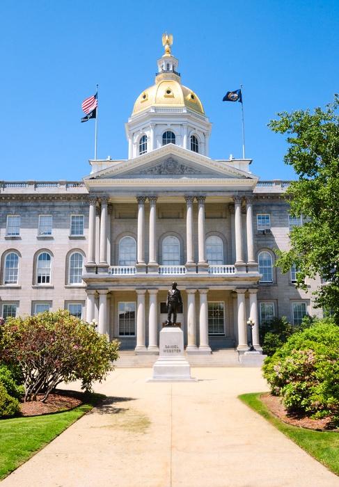 New Hampshire State House Wall Decal