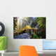 Silver Falls State Park Wall Decal