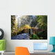 Silver Falls State Park Wall Decal
