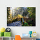 Silver Falls State Park Wall Decal