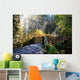 Silver Falls State Park Wall Decal