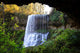 Silver Falls State Park Waterfall Wall Decal