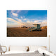 Evening Sky 2nd St Wall Decal