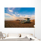 Evening Sky 2nd St Wall Decal