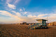 Evening Sky 2nd St Wall Decal