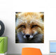 Red Fox Wall Decal