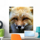 Red Fox Wall Decal