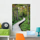 Path Wall Decal