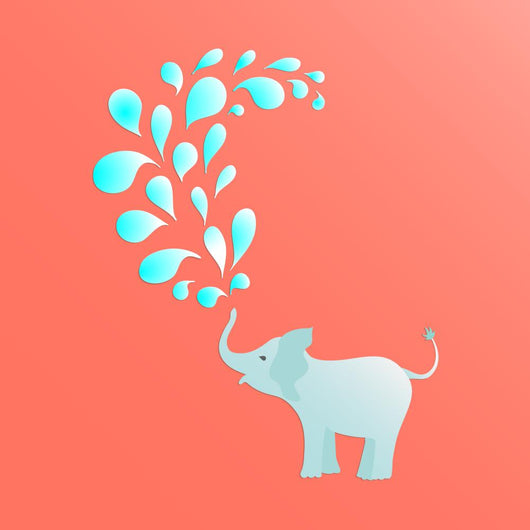 Baby Elephant Spraying Water Wall Decal