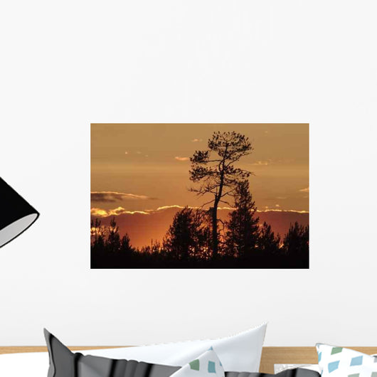Sunset Wall Decal Design 3