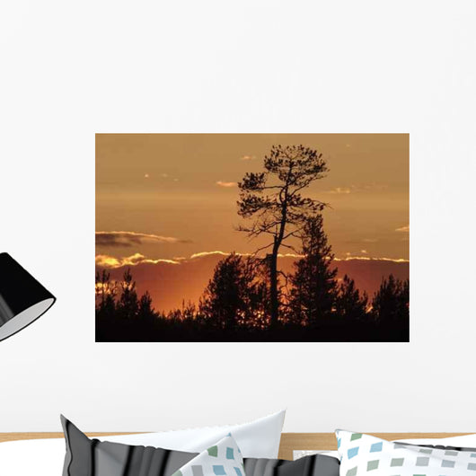 Sunset Wall Decal Design 3