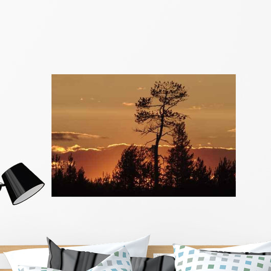 Sunset Wall Decal Design 3